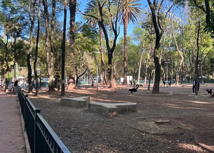 Condesa Residence Campeche 3 Charm 2Br 1Ba Apartment With Expansive Living Space